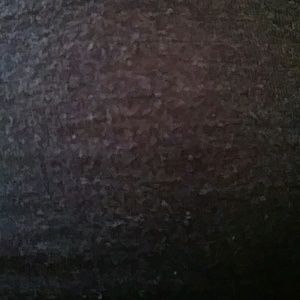 Meet your Posher, Susie